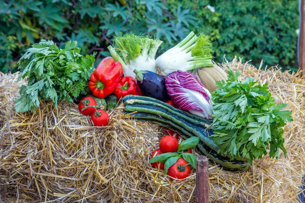 Agroturismo 4 Ricci Cerveteri