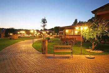 4 Ricci Cerveteri